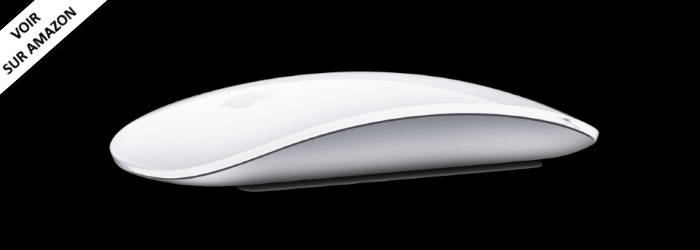 Apple Mafic Mouse 2 Souris Sans Fil