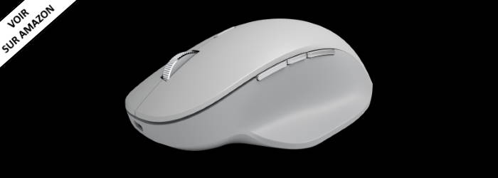 Microsoft Surface Precision Souris Sans Fil