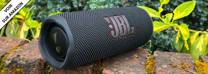 JBL Flip 6